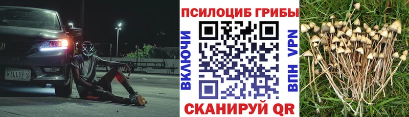 Галлюциногенные грибы Cubensis Старый Оскол